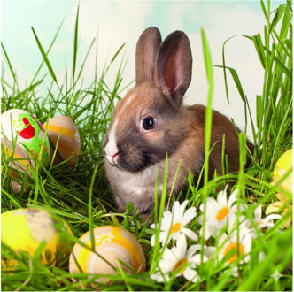 Ambiente Paas thema servetten - 20x - Konijn print - 33 x 33 cm - Pasen - feestservetten - Paasontbijt Multi