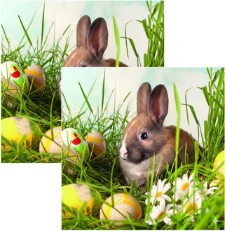 Ambiente Paas thema servetten - 40x - Konijn print - 33 x 33 cm - Pasen - feestservetten - Paasontbijt