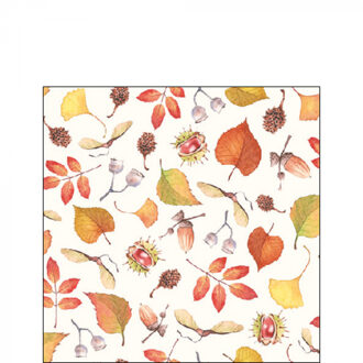 Ambiente servetten 20 stuks autumn details Multikleur