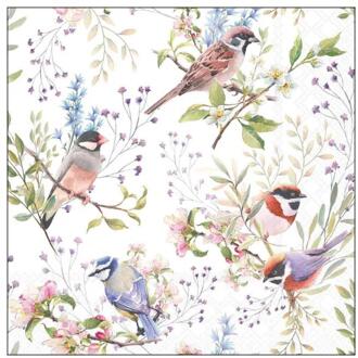 Ambiente Servetten 33cm busy birds multi