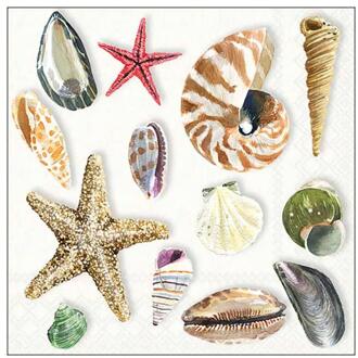 Ambiente Servetten 33cm schelpen multi