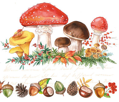 Ambiente Servetten 33x33cm Paddestoelen