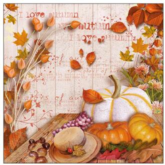 Ambiente Servetten Colours autumn 33cm oranje