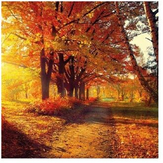 Ambiente Servetten herfst park 33cm 20st