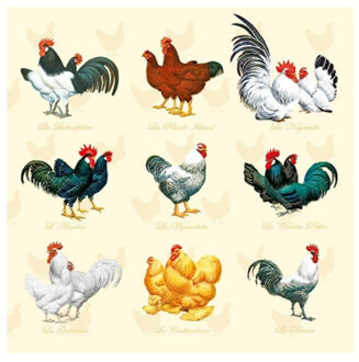 Ambiente Servetten kippen en hanen - 60x st - 33 x 33 cm - Pasen thema - lunch/diner servetjes - Paas