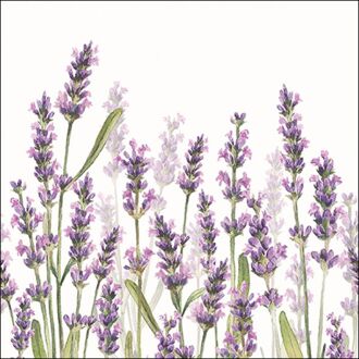 Ambiente Servetten Lavender Shades White 33x33cm paars