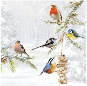 Ambiente Servetten Tuinvogels - 20x stuks - 33 cm - vogel thema Multi