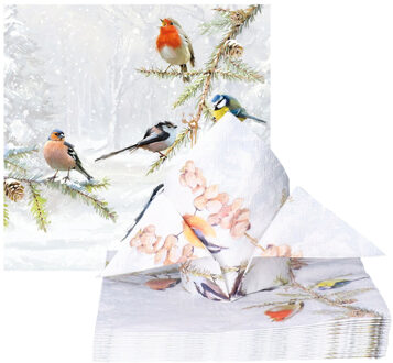 Ambiente Servetten Tuinvogels - 60x stuks - 33 cm - vogel thema