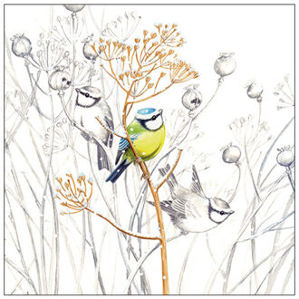 Ambiente Servetten Vogels - 20x stuks - 3 laags - 33 x 33 cm - winter thema Multi