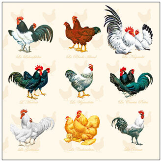 Ambiente Servetten Wyandotte Cream 33cm wit