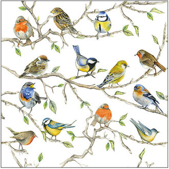 Ambiente Tafel diner/lunch servetten - 80x stuks - 33 x 33 cm - tuinvogels