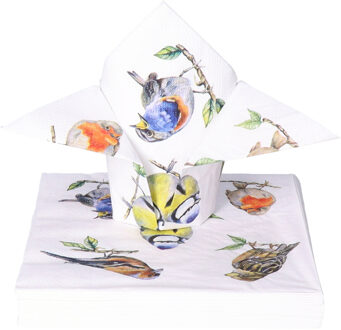 Ambiente Tafel diner servetten - Tuinvogels thema - 40x stuks - 33 x 33 cm