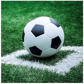Ambiente Voetbal thema servetten - 20x - 33 x 33 cm - 3-laags papier - feestservetten