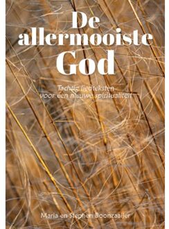 Ambilicious LLP De Allermooiste God - Maria Boonzaaijer