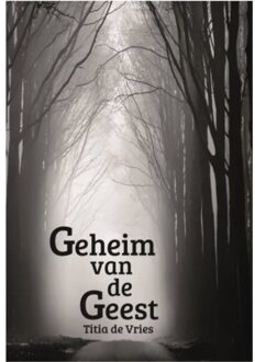 Ambilicious LLP Geheim Van De Geest - (ISBN:9789492551696)