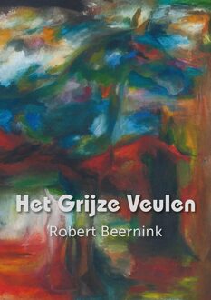 Ambilicious LLP Het grijze veulen - Robert Beernink - ebook