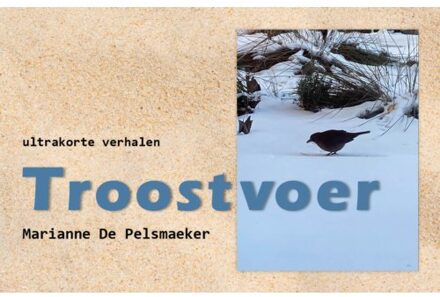 Ambilicious LLP Troostvoer - Marianne de Pelsmaeker