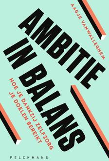 Ambitie in balans -  Aagje Vanwalleghem (ISBN: 9789462349858)
