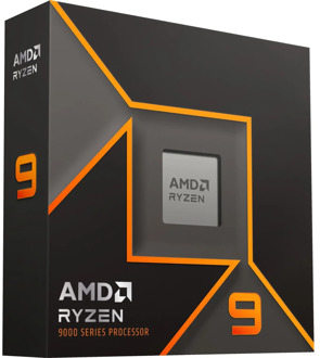 AMD Ryzen 9 9900X processor