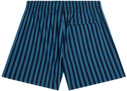 America Today Andrew aop - maat M Veelkleurig