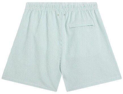 America Today Andrew stripe - maat M Groen