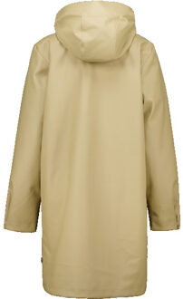 America Today Janah teddy Bruin - XL