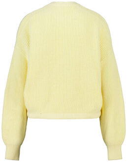 America Today Koda - maat M Geel