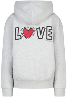 America Today Sabeau hood jr Grijs - 134/140