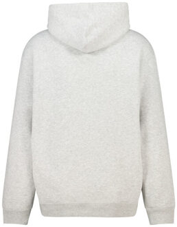 America Today Sealey hood Grijs - M