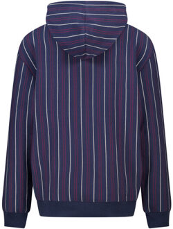 America Today Sean hood Blauw