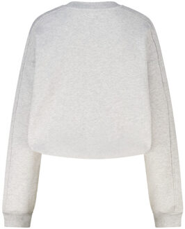 America Today Siloh Grijs