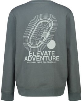 America Today Stijn crew Grijs - L