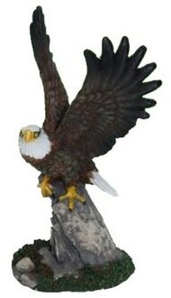 Amerikaanse zeearend beeldje - decoratie - polystone - 19 cm