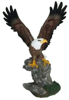 Amerikaanse zeearend beeldje - decoratie - polystone - 28 cm