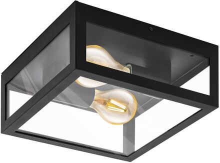 Amezola Wandlamp / Plafondlamp Zwart