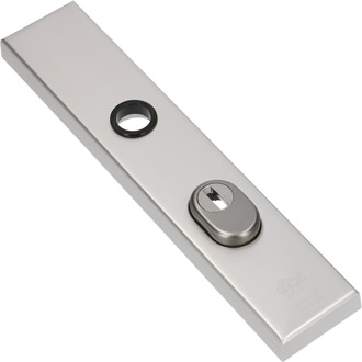 Ami Bu Schild 251/15Kt Pc55 F1 3