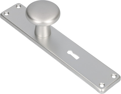 Ami Knop 160/50 Vast Langschild 212/41 RH Sl 56 F1 - 313792