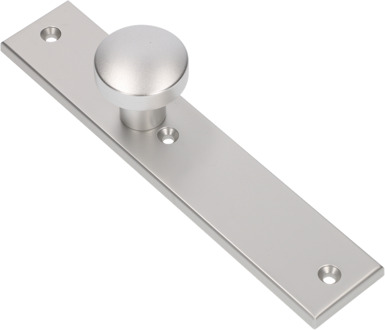 Ami Knop 169/50 Vast Langschild 251/50/8 Blind R6,5 F1 - 323960