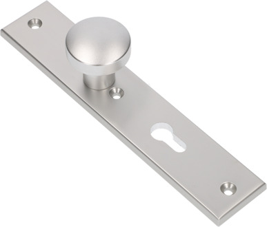 Ami Knop 169/50 Vast Langschild 251/50/8 Profielcilinder 72 R6,5 F1 - 323966