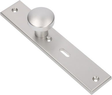 Ami Knop 169/50 Vast Langschild 251/50/8 Sl 56 R6,5 F1 - 323962