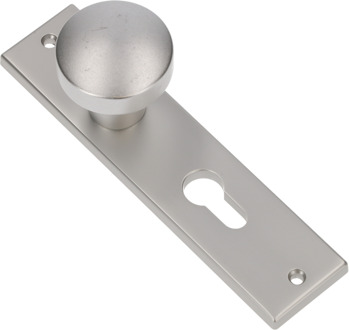 Ami Knopkortschild recht, 169/50 PC 72 F1