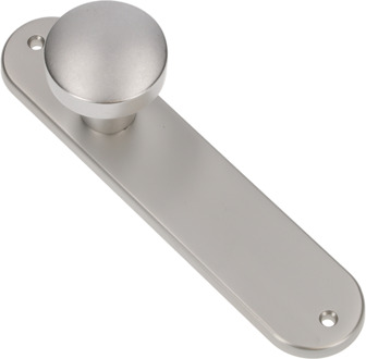 Ami knopschild ovaal 200mm blind F1