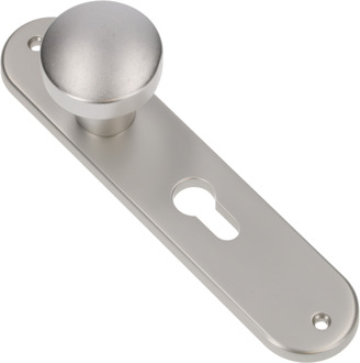 Ami knopschild ovaal 200mm pc72 F1