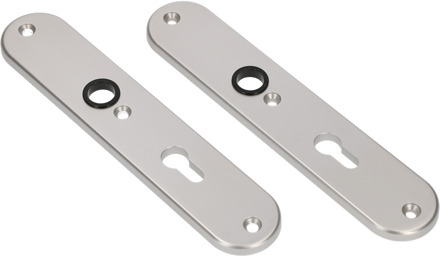 Ami Langschild 250/50/8/1 Profielcilinder 92 F-1 R6,5/R7,3 - 215319