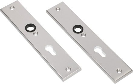 Ami Langschild 251/50/8 Profielcilinder 70 F-1 R6,5/R7,3 - 215115