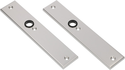 Ami Langschild 251X50X8 Blind F1