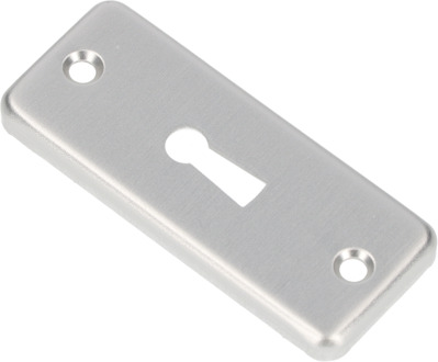 Ami sleutelgatplaatje dik 32x80mm