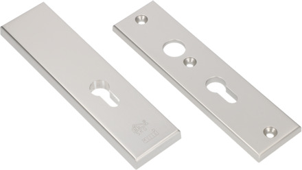 Ami Veiligheidsbeslag 193/50 Buiten Zkrg Profielcilinder 55 Binnen Profielcilinder 55 F2 Deurdikte 38/42 Mm - 831093