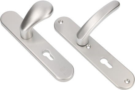 Ami Veiligheidsbeslag Knop 173 250/50/1 Buiten en Binnen Profielcilinder 72, 378 Rotaveer F1 Deurdikte 38/42 Mm - 689911