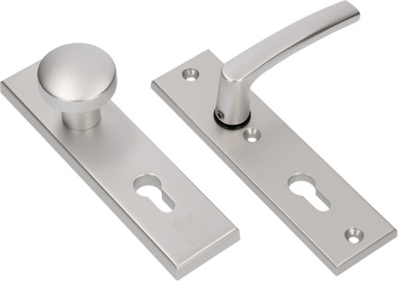 Ami Veiligheidsgarnituur 193/50 met knop F1 PC72mm 169/50